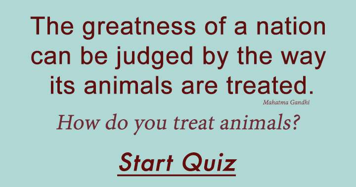 Banner for Animals