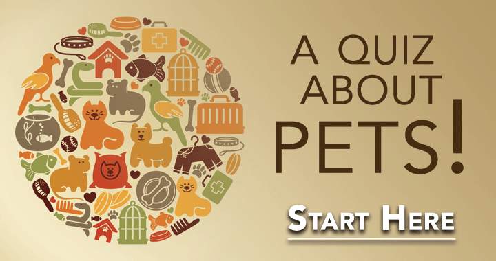 Banner for A Quiz About Pets!