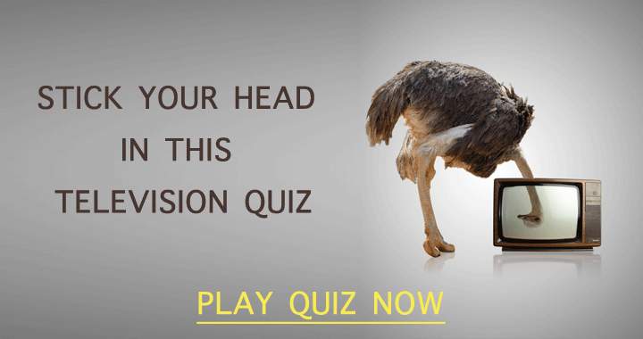 Stick your head in this amazing Television quiz!