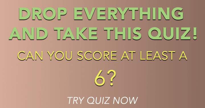 Drop everything and take this quiz! 