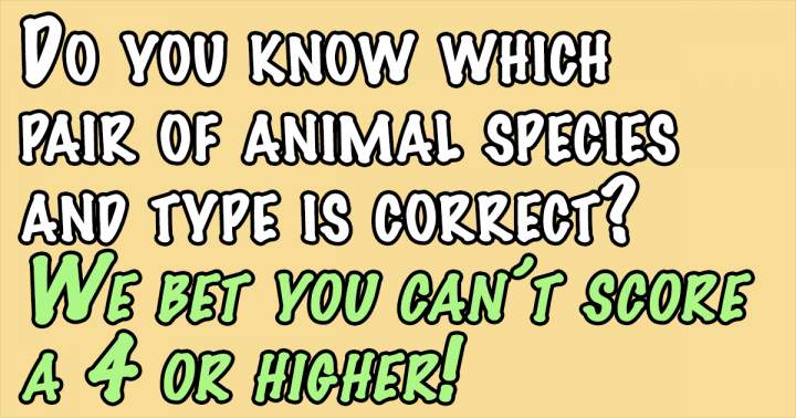 Animals Quiz