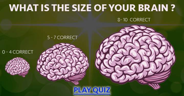 How big is your brain?