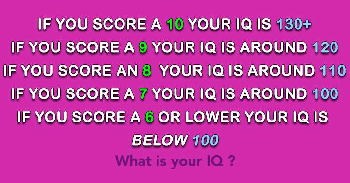 What is your IQ?