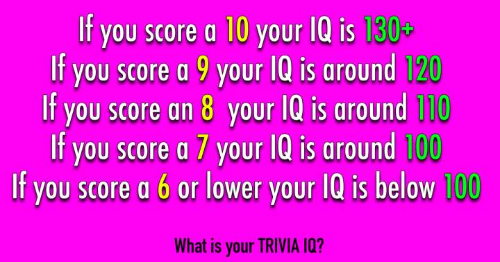 Intelligence Quotient Test