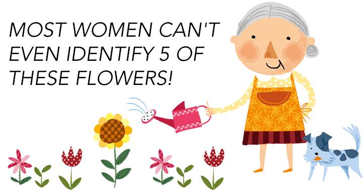 The identification of these flowers is a challenge for most women.