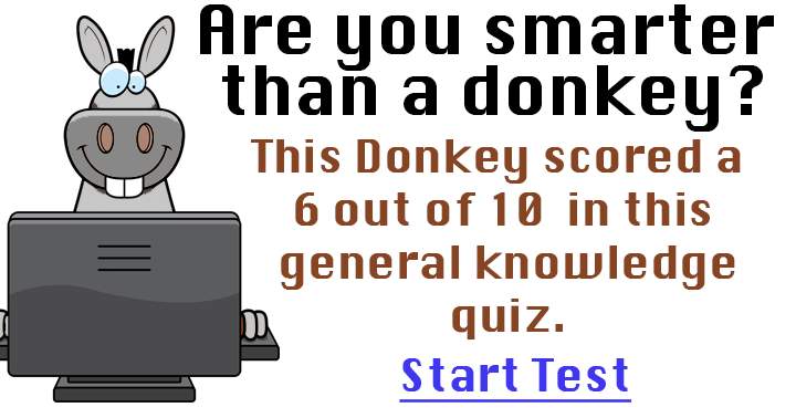 Don't act like a donkey!