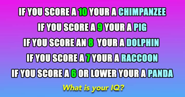 Banner for Tell me your Trivia Animal.