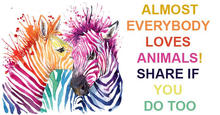 Banner for Are you also fond of animals?