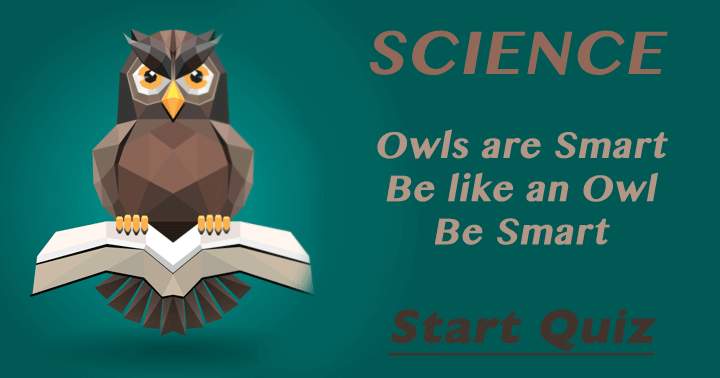 Is it possible for you to be as intelligent as an Owl?