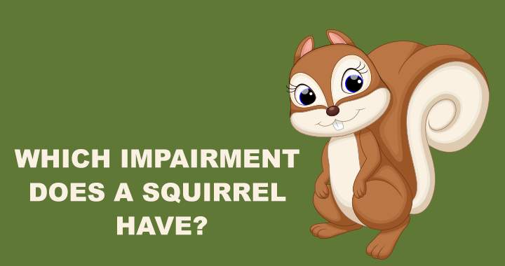 Banner for Animal quiz - challenging and enjoyable!