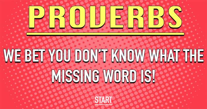 Banner for Quiz on Proverbs