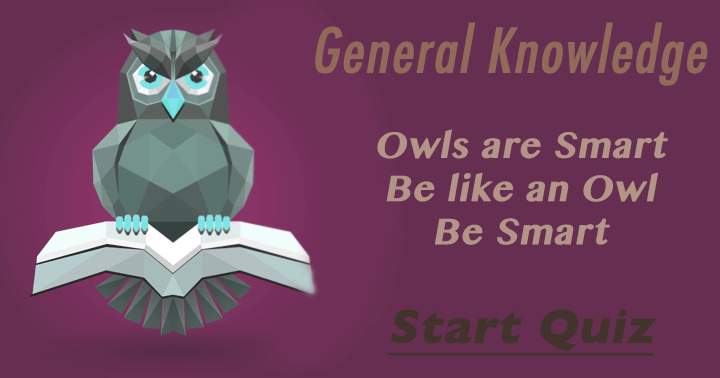 Banner for Embrace wisdom, emulate an Owl.