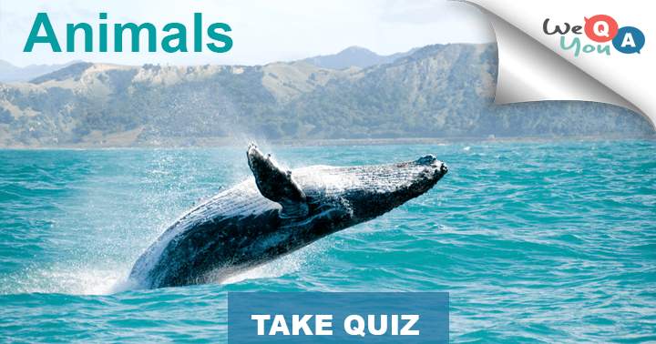 Banner for There are 10 questions about animals that inhabit our planet.