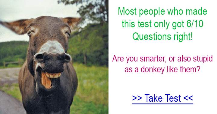 Banner for Quiz about animals
