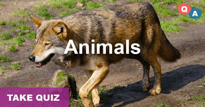 Most people struggle to answer even one of the 10 challenging questions about Animals.