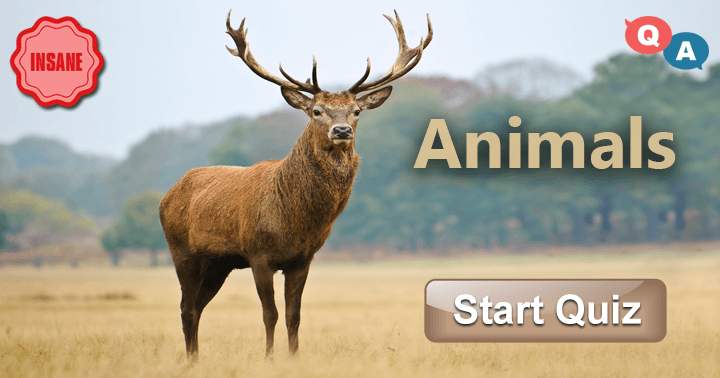 Banner for 'Insane Level Animal Trivia: 10 challenging and enjoyable questions'