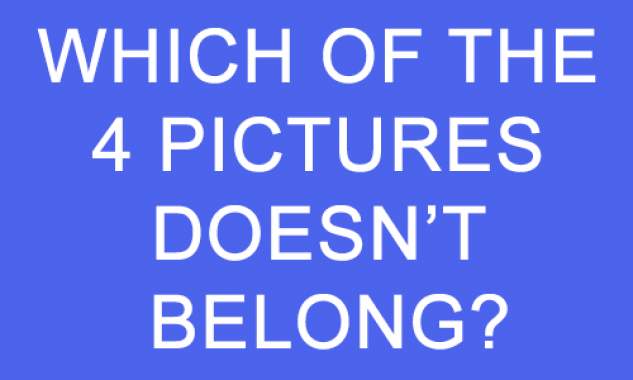Banner for Which picture do you think doesn't belong?