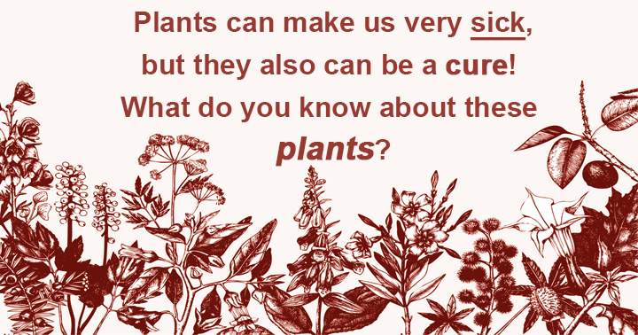 What knowledge do you have about plants that can both cause illness and heal?