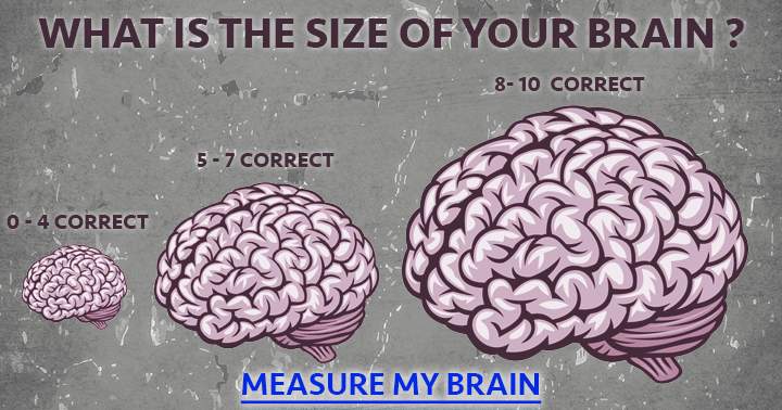 The size of the brain is important.