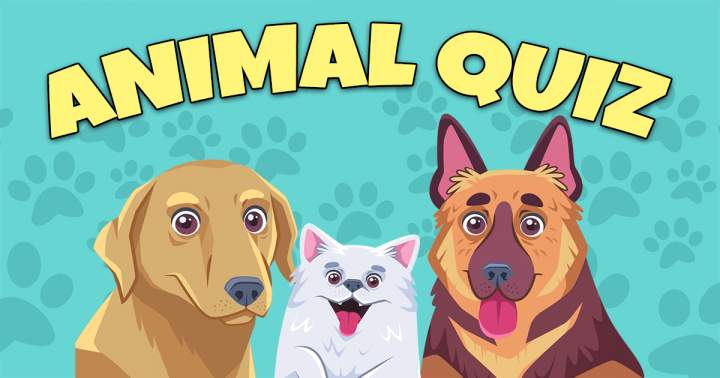 Banner for Wildlife Trivia