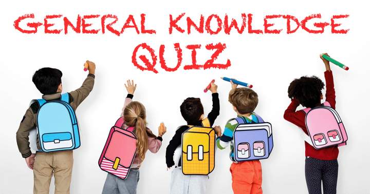 Banner for Basic Trivia Contest