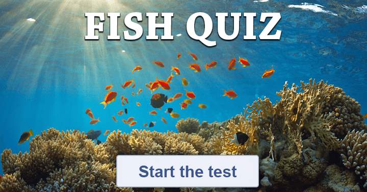 Aquatic Trivia Challenge!