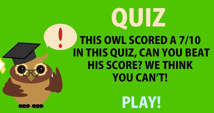 Banner for Are you smarter than this Owl?