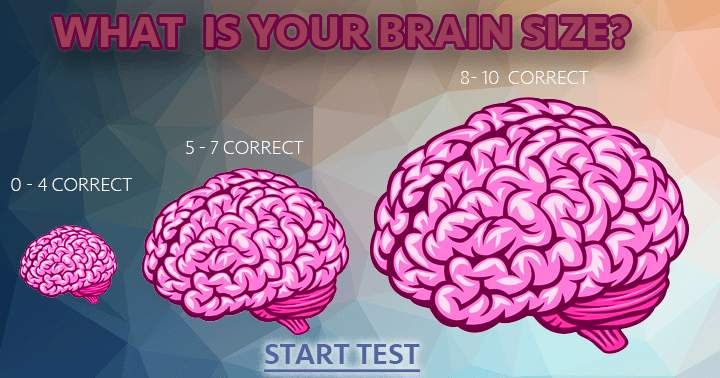 Banner for What is your brain size?