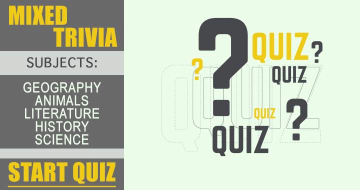 Are you a master in playing quizzes? 