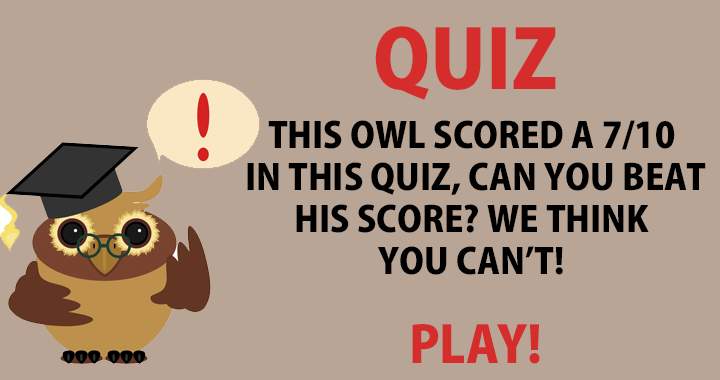 Can you beat the owl?