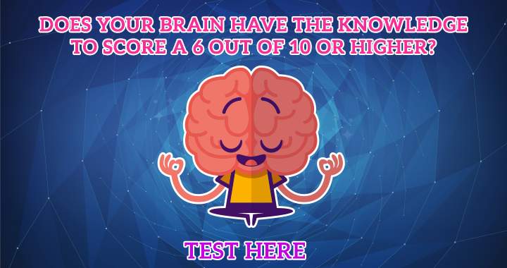 We bet your brain can't score a 6+