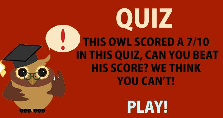 Can you beat the owl?