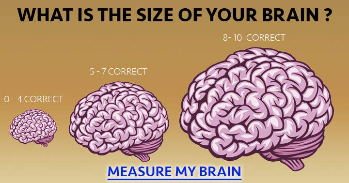 Take the quiz and measure your brain.