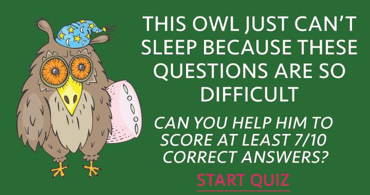 Can you help this owl?