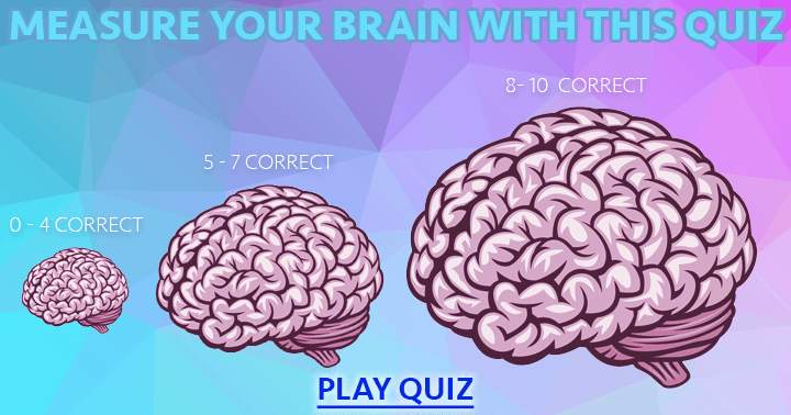 How Big Is Your Brain?